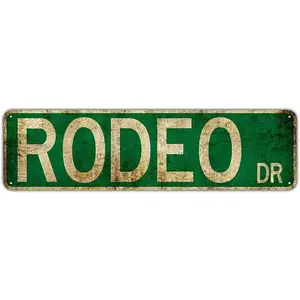 Rodeo Dr. Amusement Park Scenic Retro Road Signs Country Retro Metal Wall Man Cave 4x16 inches