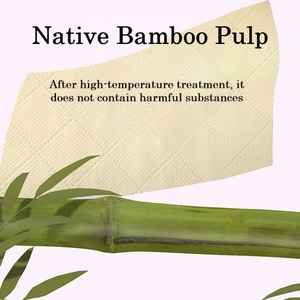 Organic Bamboo Pulp 4-lagiges Magic Tissue Soft Home und Restaurant Hanging Facial Towel 4-lagig für Travel <span class=keywords><strong>Paper</strong></span> Bag Tissue - Product Image 4