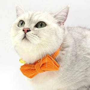 개인화 된 새겨진 로고 코듀로이 다크 브라운 XL 큰 개 애완 동물 목걸이 가죽 끈 골드 메탈 버클 세트 - Product Image 2