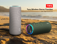 Enceinte Bluetooth portable d'extérieur IPX7, son stéréo TWS dynamique, RGB, micro intégré, TF, AUX, rechargeable, enceinte cadeau pour l'Europe