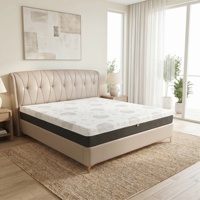Colchón Híbrido Popular de Espuma Viscoelástica y Muelles Ensacados de 10 Pulgadas, Diseño Moderno para Dormitorios, Calidad de Hotel 5 Estrellas, Venta al por Mayor de Fábrica
