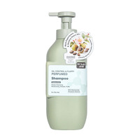 Shampooing et après-shampooing à l'huile de camélia, contrôle du sébum, anti-chute, Biota Orientalis, soins capillaires, OEM, marque privée, logo personnalisé, qualité salon, en vrac