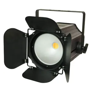 DMX512 COB200W Ww/Cw 2 In 1 Led Blinder