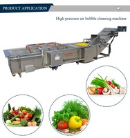 Citrusvruchten Wasmachine Fruit En Groente Verwerkingslijn Reiniging Drogen Sorteerlijn