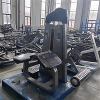 Équipement de fitness ST-1001 pour la musculation et l'entraînement physique, machine de flexion/extension des jambes assise ou allongée, Shandong