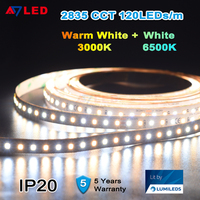 Bande LED Commerciale Double Blanc 5M 120 LED/m 2835, Garantie 5 Ans, CRI 90 Élevé, IP65, 24V 20W, USB Dimmable CCT