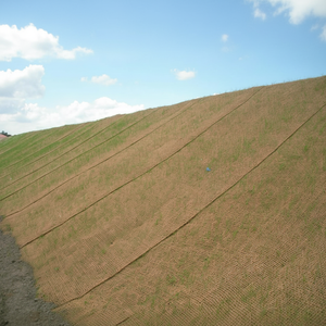 การควบคุมการควบคุมดินมะพร้าวหรือความลาดชันการควบคุมการขายที่ดีที่สุด Mr. Ryan + 84938 244 404 - Product Image 1