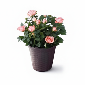 CASAMAX WL AM-0458-5 Vaso per Fiori in Acciaio Resistente per Giardino - 20*10.5*17.5CM - Product Image 2