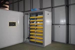 Mới Đầy Đủ Tự Động 120-500Pcs Cao Hatching Tỷ Lệ Trứng Lồng Ấp Khay Máy Cho Gà Vịt Ngỗng Đà Điểu Chim Thổ Nhĩ Kỳ - Product Image 4
