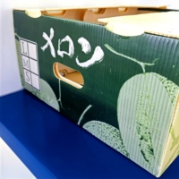 Carton ondulé alvéolé PP robuste en B-flute, matériaux recyclés, pour boîtes de fruits, légumes, melon Hami, banane, raisin