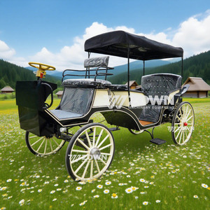 Nouvelle calèche victorienne de haute qualité et abordable pour mariages et visites touristiques avec auvent (modèle 2026) - Product Image 2