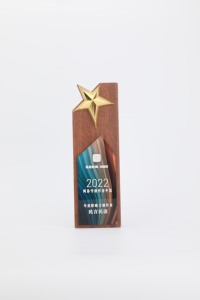 Trofeo Creativo ed Ecologico in Legno Riciclato con Design Colorato per <span class=keywords><strong>Champions</strong></span> <span class=keywords><strong>League</strong></span> e Premi Ecologici - Product Image 3