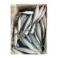 Fresh Frozen Seafood, Mackerel Fish