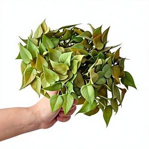 Micro-paysage <span class=keywords><strong>en</strong></span> gazon artificiel, feuilles d'anturium <span class=keywords><strong>en</strong></span> caoutchouc souple au toucher réel, mini-plantes <span class=keywords><strong>en</strong></span> <span class=keywords><strong>pot</strong></span> <span class=keywords><strong>de</strong></span> bureau, verdure bionique - Product Image 1