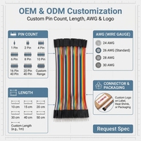 Câble de raccordement Dupont femelle à mâle 1-40 broches, câble ruban arc-en-ciel, faisceau de câbles industriel personnalisé pour prototypage de cartes de développement et de circuits imprimés