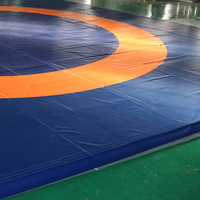 Tatami de judo Yujishan 12m X 12m, tapis de sol pour exercices d'arts martiaux et de lutte