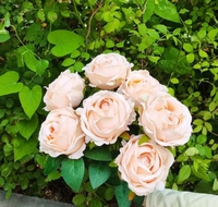 Groothandel 7-Head Kunstzijde Bruiloft Decoratieve Rozen Grote Maat 50Cm Bloemendesign Boeket Voor Kerst En Nieuwjaar