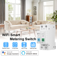 Interrupteur intelligent WiFi ESP32 C2, disjoncteur 63A 2P, mesure de la puissance, surveillance, minuterie, relais avec protection contre les fuites pour maison intelligente