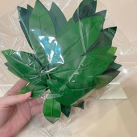 Meilleures ventes : Arbre à monnaie artificiel réaliste et pratique en pot, ornement décoratif paysager pour la maison, le balcon et la véranda