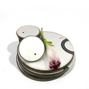 Verschillende maten van ultrasone elementen, piëzo-elektrische keramische ringen/schijven/cilinders/buizen/rechthoeken/bolvormige vormen op voorraad - Product Image 6