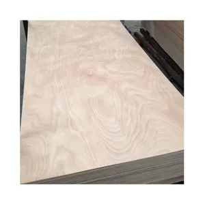 Đào Tạo Trực Tuyến Poplar Lõi Melamine Keo Bạch Dương Veneer Ván Ép 18Mm Nhà Sản Xuất Lâm Nghi Nhà Máy 21Mm Playwood