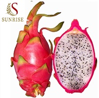 Verse natuurlijke zoete drakenvruchten, roze rode schil, wit vlees, kwaliteit 60 dagen houdbaarheid, Ninh Thuan Vietnam. WHATSAPP 0084 989 322 607