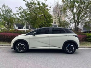 Véhicule électrique compact BYD Dolphin <span class=keywords><strong>2021</strong></span>, berline, batterie <span class=keywords><strong>Blade</strong></span>, traction avant, EV - Product Image 4
