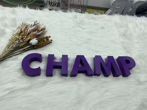 تصميم جديد مخصص شعار ثلاثي الأبعاد للإعلانات المعدنية بإضاءة خلفية علامة للأعمال في الهواء الطلق - Product Image 6