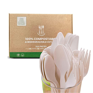 عينة مجانية من المصنع مباشرة سعر سكين للاستعمال مرة واحدة في الغذاء الصف Pla قابلة للتحلل الحيوي - Product Image 1