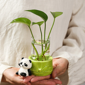 Maceta hidropónica de cerámica Ruijie Panda para plantas verdes como Pothos, decoración de escritorio de oficina. - Product Image 2