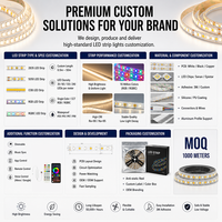 Bande lumineuse LED flexible en cuivre à commande intelligente personnalisée SMD5050 60 LED/m RGB changeant de couleur avec contrôle à distance par application et code QR