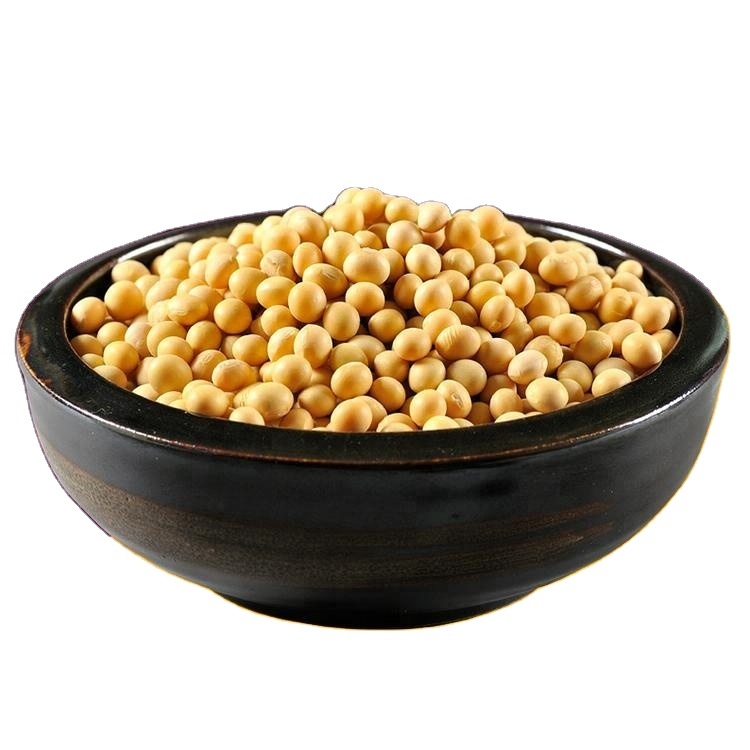 Hot Discount Organic Dried Roasted Soybean