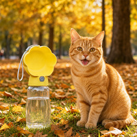 Bouteille d'eau portable pour chien avec motif de patte, 380 ml, distributeur d'eau pour chiot de voyage avec cordon