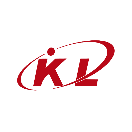 Changsha King Lion Technology Co., Ltd. logo
