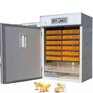 Incubateur automatique à capacité de 1056 œufs, coupeuse et couveuse d'œufs, nouveau Design