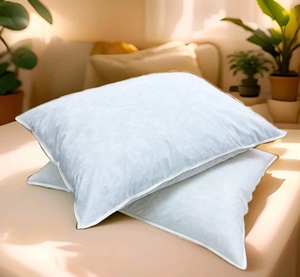 Cuscini in piuma d'<span class=keywords><strong>oca</strong></span>/anatra <span class=keywords><strong>bianca</strong></span> tinta unita inserto in stile moderno per camere da letto Hotel con comodo supporto per il collo - Product Image 5