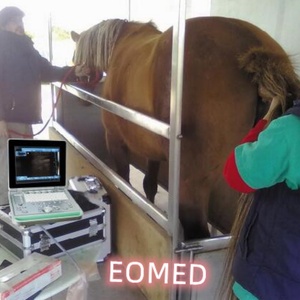 เครื่องอัลตราซาวนด์แบบพกพาสำหรับสัตวแพทย์ รุ่นขายดีที่สุด พร้อมฟังก์ชั่นครบครัน ภาพคมชัดทรงพลัง BW09vet - Product Image 6