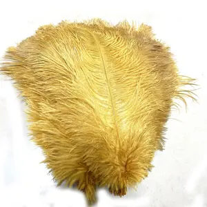Bulu Burung Unta/Bulu Burung Unta Karnaval Bulu untuk Dekorasi Pernikahan/Tenda Pesta (15-75cm)