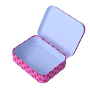 Высокое качество прямоугольная красочная маленькая мята жестяная коробка навесная для упаковки