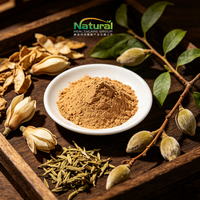 Poudre d'extrait de Flos Magnoliae de qualité alimentaire QY Herb, très vendue