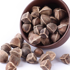 Bán buôn số lượng lớn chất lượng cao khô các loại thảo mộc Trà Moringa hạt giống Trà để bán - Product Image 5