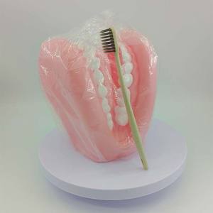 Modelo <span class=keywords><strong>de</strong></span> <span class=keywords><strong>Boca</strong></span> <span class=keywords><strong>de</strong></span> Plástico con Cepillo <span class=keywords><strong>de</strong></span> Dientes para Demostrar Técnicas <span class=keywords><strong>de</strong></span> Cepillado Dental, Hecho en China - Product Image 1