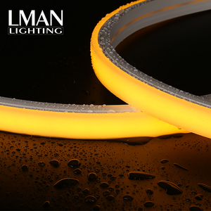 2024 mới đến IP65 không thấm nước 20*14mm 120LED/M SMD 2835 DC12V 24V 8W <span class=keywords><strong>LED</strong></span> Neon <span class=keywords><strong>Flex</strong></span> ánh sáng - Product Image 3