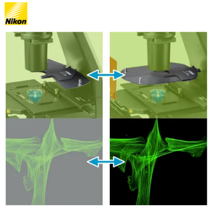 Microscope inversé <span class=keywords><strong>Nikon</strong></span> TS2 avec système optique CFI60, microscope stéréoscopique trinoculaire, caméra de microscope stéréoscopique - Product Image 6