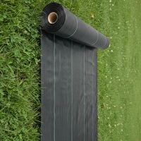 Filet en plastique agricole, tissu anti-mauvaises herbes pour jardin, rouleau de paillis noir, contrôle des mauvaises herbes, couverture du sol