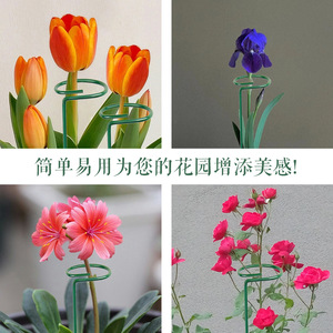 Poteaux de soutien pour plantes grimpantes, 40 cm, vert, en fer revêtu, pour jardinage domestique, supports de fleurs sur pied - Product Image 3