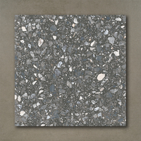 Sol de salle de bain pas cher, Terrazzo mat antidérapant émaillé, carreaux d'intérieur en porcelaine rustique