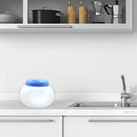 Humidificateur d'air chaud à vapeur pour intérieur, augmente l'humidité de l'air, lumière de nuit LED chaude, humidificateur pour la maison, pour le sommeil