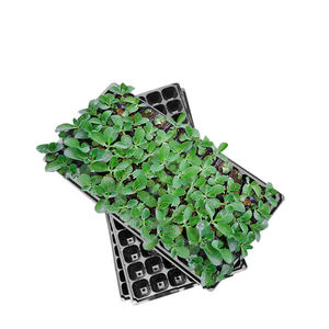 Dayanıklı 21 32 50 72 105 128 hücreleri tohum bitki çimlenme sebze çiçek büyüyen tepsi bahçe fide kreş tepsiler - Product Image 4