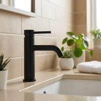 Robinet de lavabo contemporain en acier inoxydable 304 pour hôtel, avec robinets d'eau chaude et froide, finition noir mat, robinets de salle de bain